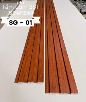 3ST – SG01
